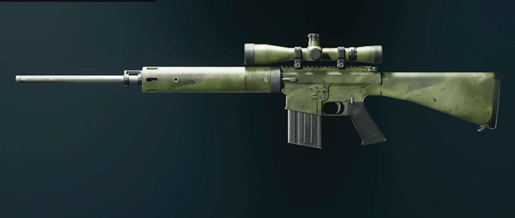 Black Ops 6 - Granite DM-10 Camo