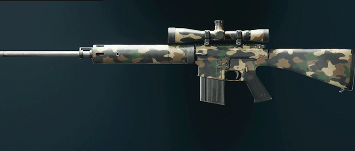 Black Ops 6 - Woodland DM-10 Camo