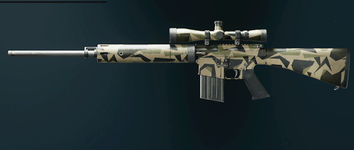 Black Ops 6 - Rugged DM-10 Camo