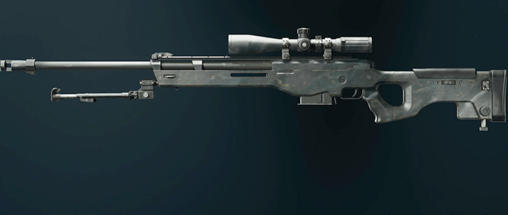 Black Ops 6 - Slate LW3A1 Frostline Camo