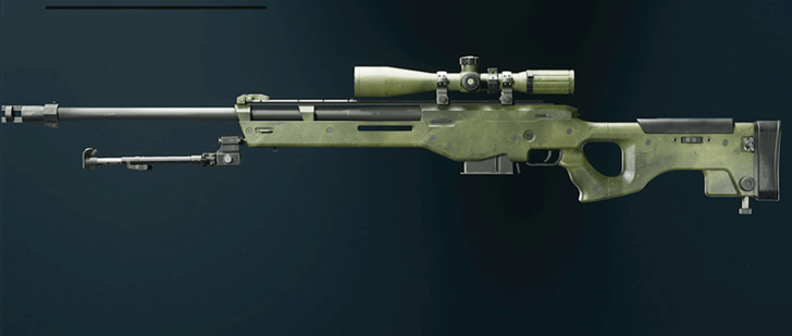 Black Ops 6 - Granite LW3A1 Frostline Camo