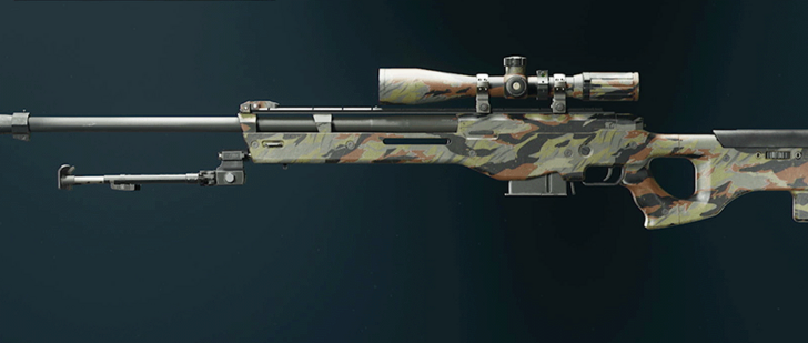 Black Ops 6 - Stripe LW3A1 Frostline Camo