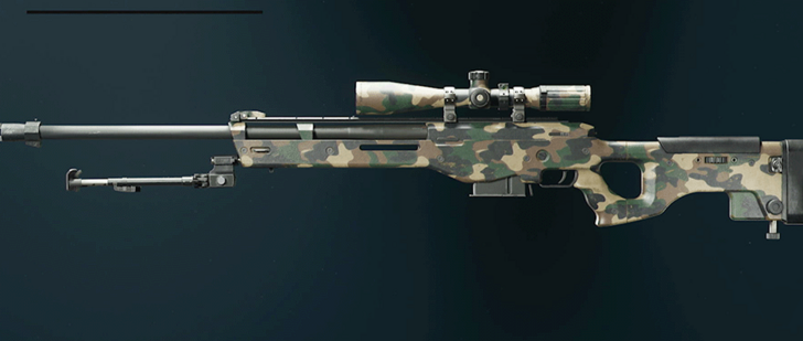Black Ops 6 - Woodland LW3A1 Frostline Camo