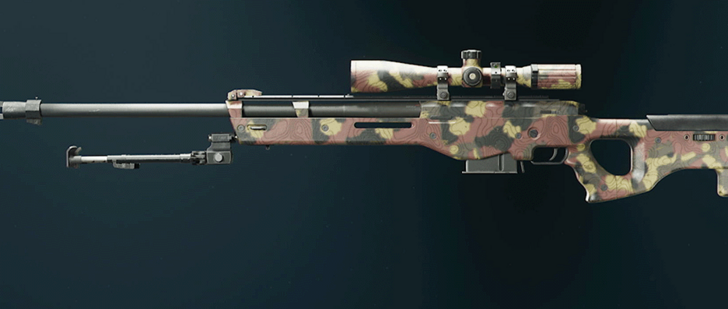 Black Ops 6 - Grim LW3A1 Frostline Camo
