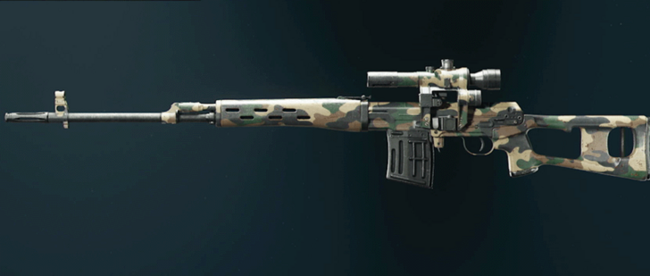 Black Ops 6 - Woodland SVD Camo