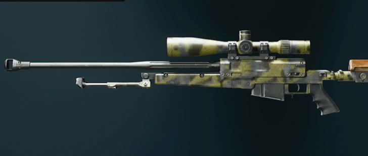Black Ops 6 - Moss LR 7.62 Camo