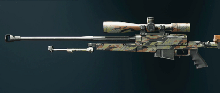 Black Ops 6 - Stripe LR 7.62 Camo