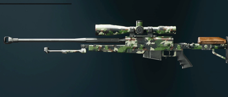 Black Ops 6 - Evergreen LR 7.62 Camo