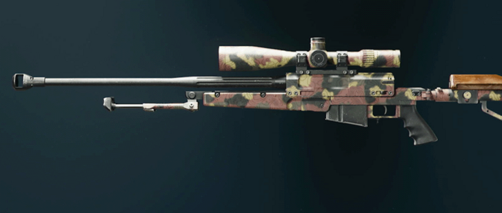 Black Ops 6 - Grim LR 7.62 Camo