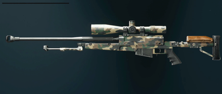 Black Ops 6 - Woodland LR 7.62 Camo
