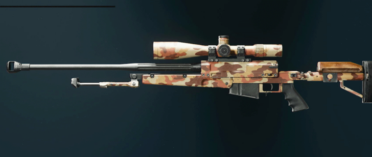 Black Ops 6 - Desert LR 7.62 Camo
