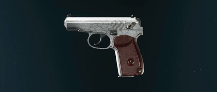 Black Ops 6 - Whiteout 9mm PM Camo