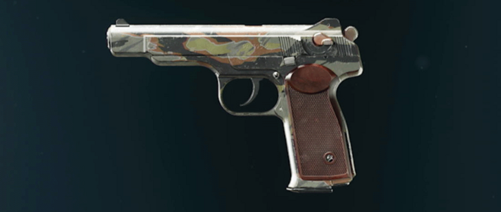 Black Ops 6 - Stripe Grekhova Camo
