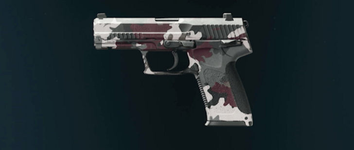Black Ops 6 - Savanna GS45 Camo