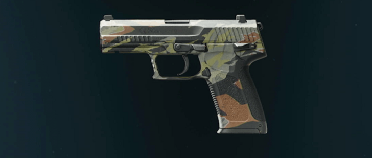 Black Ops 6 - Stripe GS45 Camo