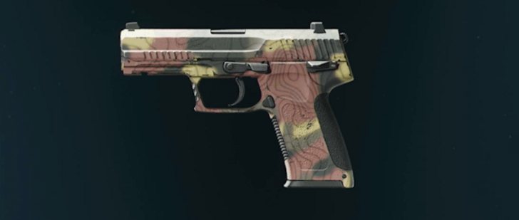 Black Ops 6 - Grim GS45 Camo