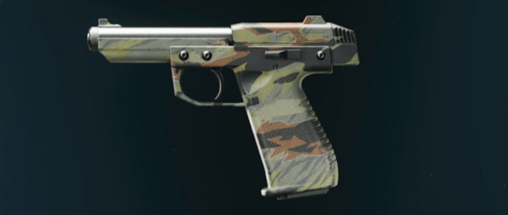 Black Ops 6 - Stripe Stryder .22 Camo