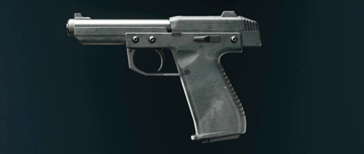 Black Ops 6 - Slate Stryder .22 Camo