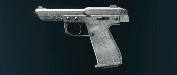 Black Ops 6 - Whiteout Stryder .22 Camo