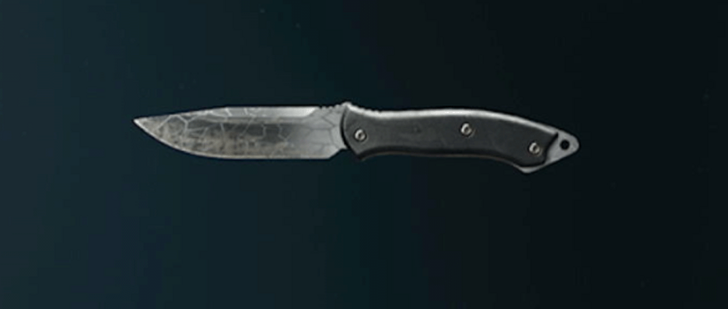 Black Ops 6 - Whiteout Knife Camo