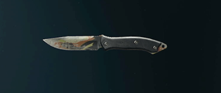 Black Ops 6 - Stripe Knife Camo