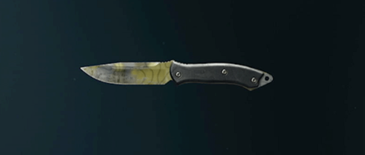 Black Ops 6 - Moss Knife Camo