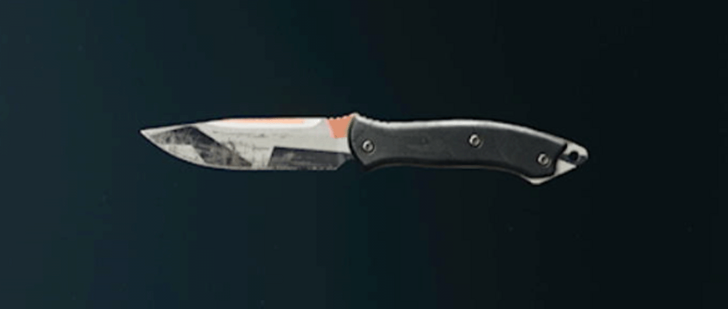 Black Ops 6 - Splinter Knife Camo