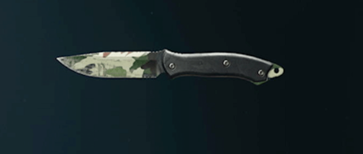 Black Ops 6 - Evergreen Knife Camo