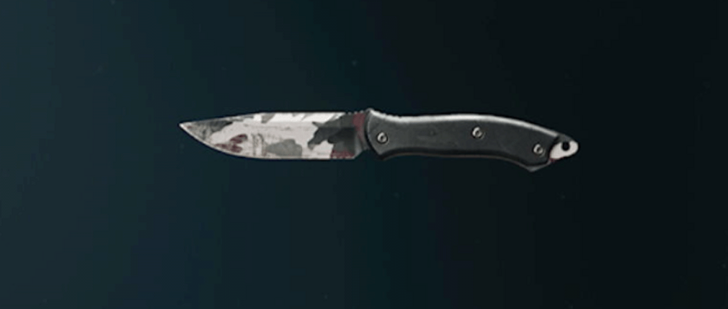 Black Ops 6 - Savanna Knife Camo