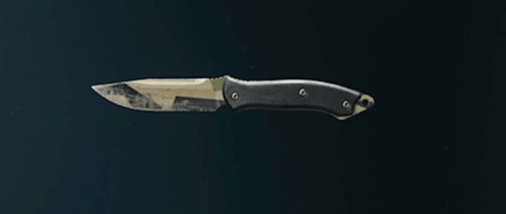 Black Ops 6 - Rugged Knife Camo