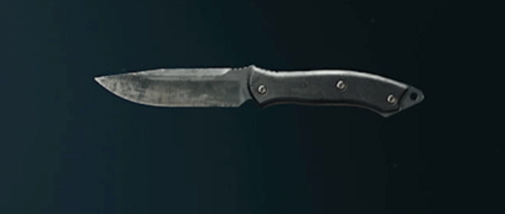 Black Ops 6 - Slate Knife Camo