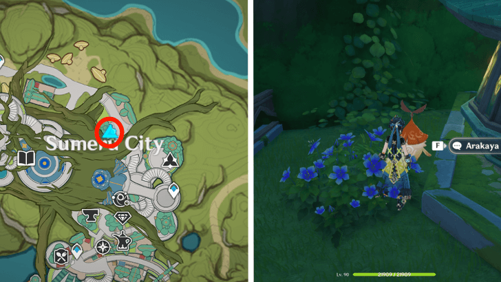 Genshin - Chromatic Character Locations Phase 2 Arakaya