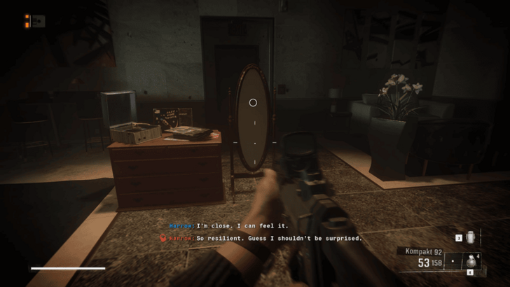 Looking Into the Mirror Once More