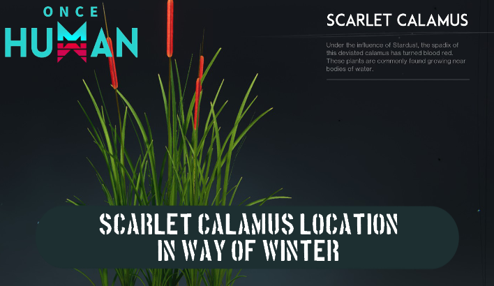 Once Human - Scarlet Calamus Location Way of Winter