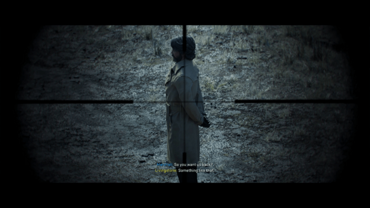 Livingstone in the Crosshairs