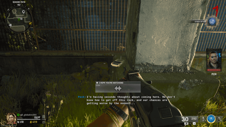 Zombies Intel - I Hope You’re Watching