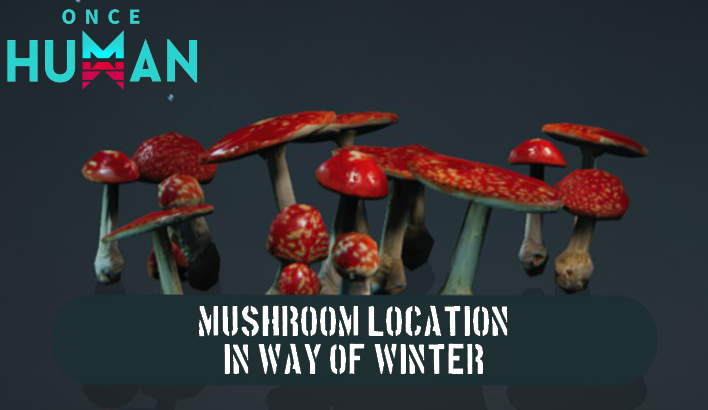 Once Human - Mushroom Location Way of Winter