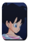 Videl Image
