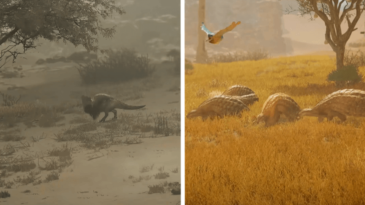 Fallow and Plenty Periods