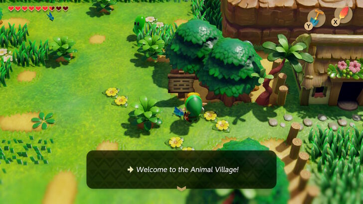 Animal Village