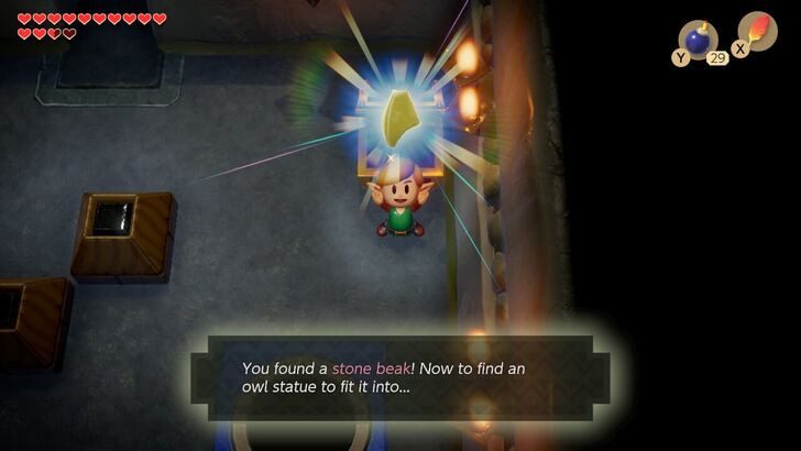 Color Dungeon Stone Beak