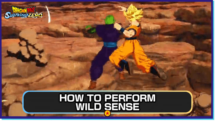 DBSZ - How to Perform Wild Sense