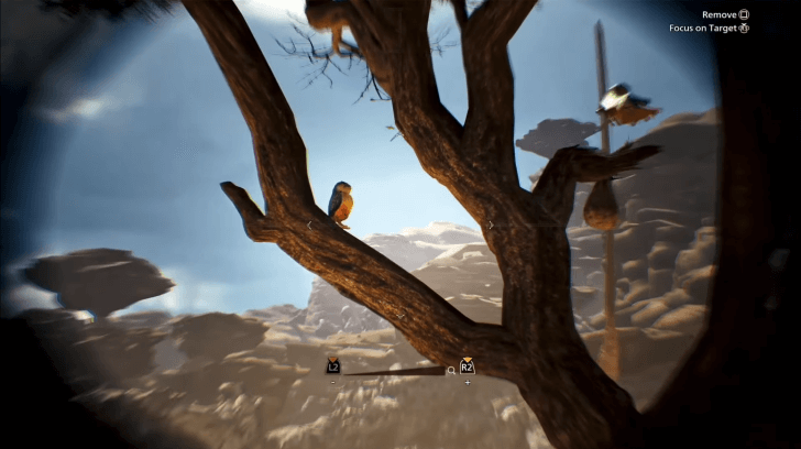 What is Endemic Life