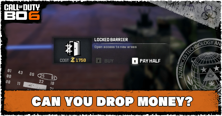 Black Ops 6 - Can You Drop Money