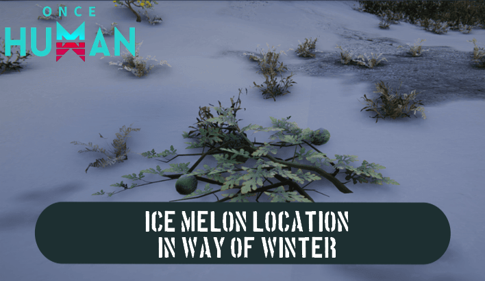 Once Human - Ice Melon Location Way of Winter