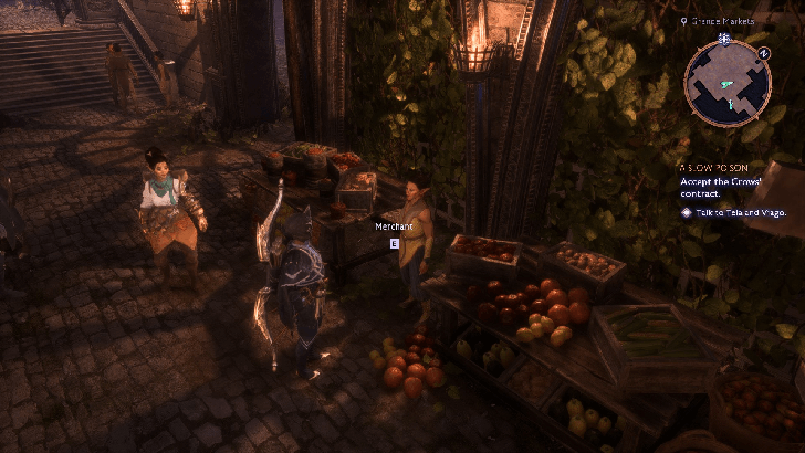 Dragon Age The Veilguard - A Fool and His Skull