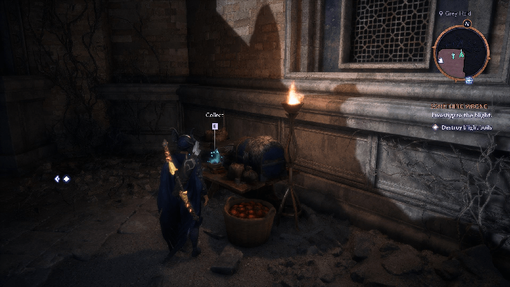 Dragon Age The Veilguard - Ring of the Warden Survivor