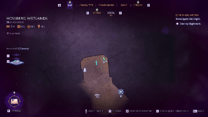 Dragon Age The Veilguard - Ring of the Warden Survivor