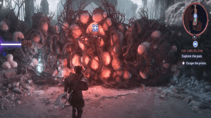 The Labs Below - Fight Through More Darkspawn 2