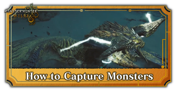 How to Capture Monsters Monster Hunter Wilds